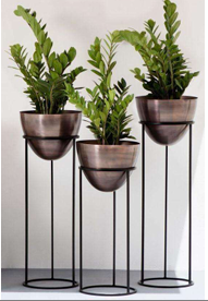 Royal Gold Bowl Plant Stand